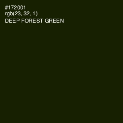 #172001 - Deep Forest Green Color Image